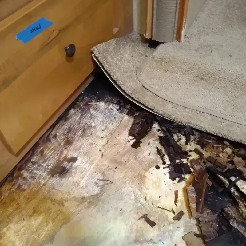 Best Wood Floor Water Damage Service in Sellersburg, IN